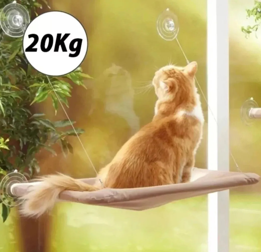 Hamaca para Gatos con Ventosa – Descanso Premium en la Ventana