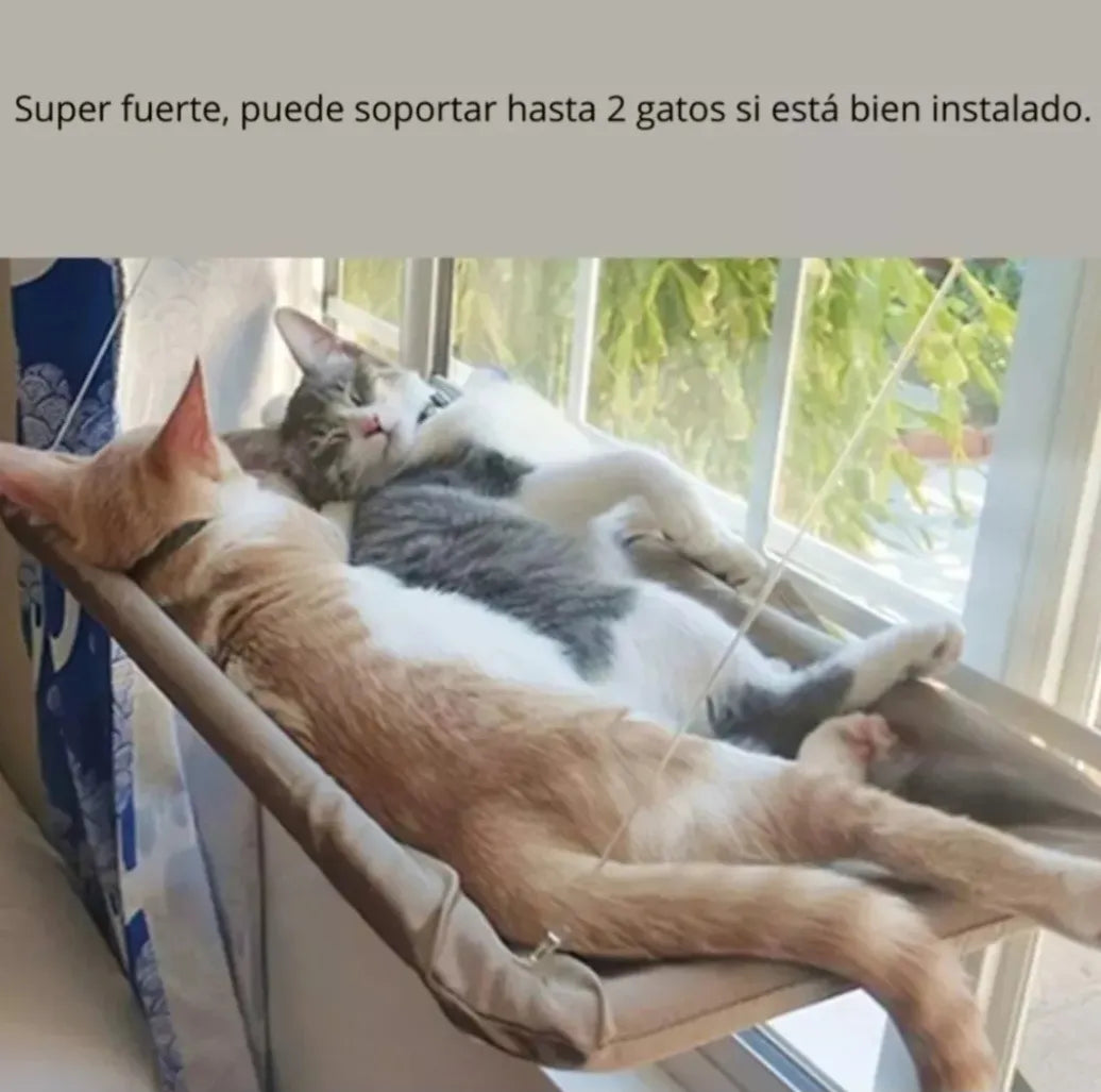 Hamaca para Gatos con Ventosa – Descanso Premium en la Ventana