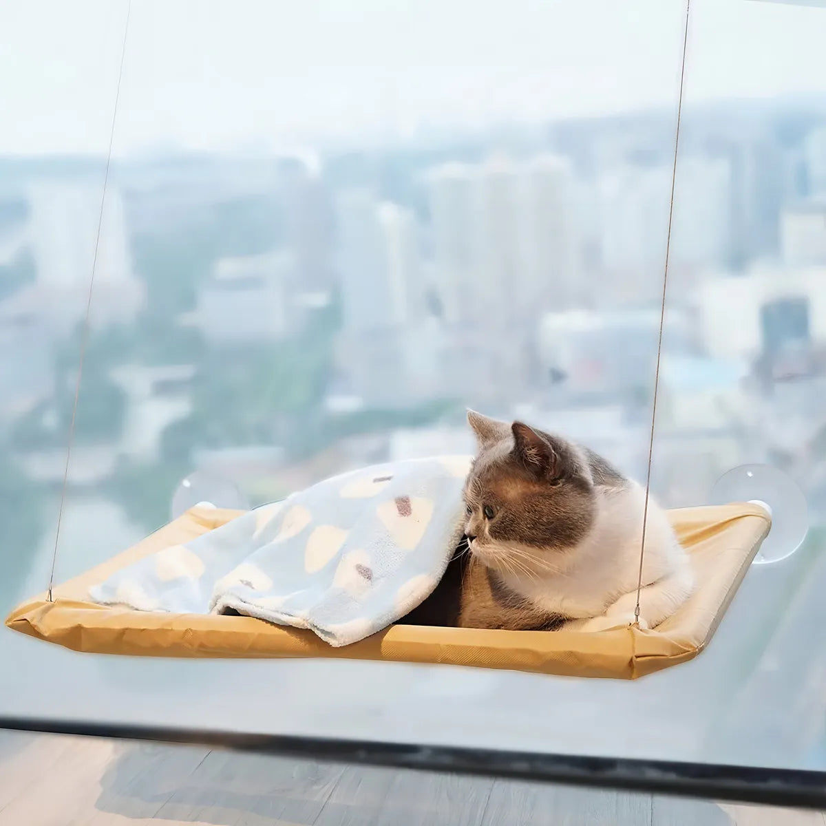 Hamaca para Gatos con Ventosa – Descanso Premium en la Ventana